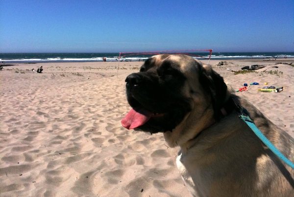 New Manzanita Oregon Vacation Rentals