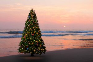 christmas tree on beach oregon