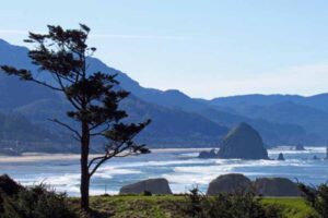 beautiful oceanfront oregon coast
