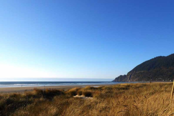 oregon coast beach