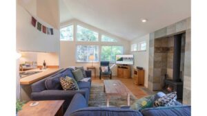 Fly Away Home Main Image