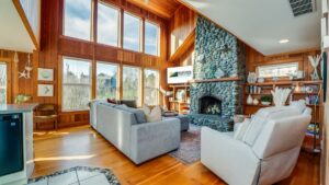 Sand Dollar Main Image