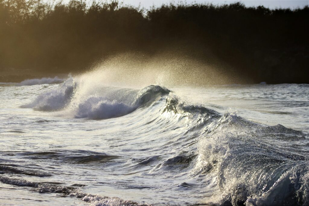 King Tide